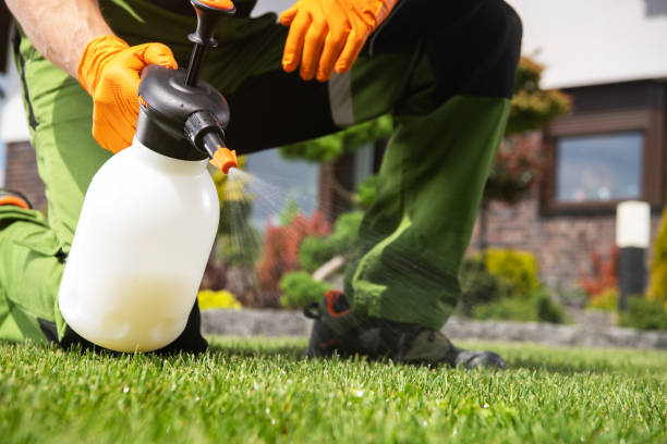 Professional Pest Control in Pensacola Station, FL