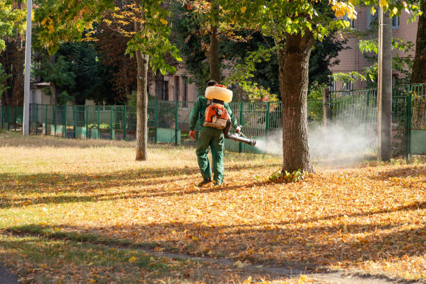 Best Mosquito Control Services  in Pensacola Station, FL