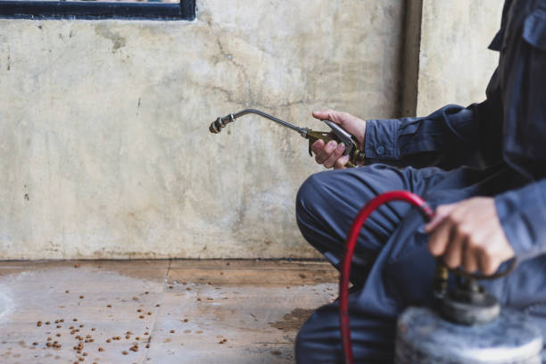 Best Local Pest Control Services  in Pensacola Station, FL